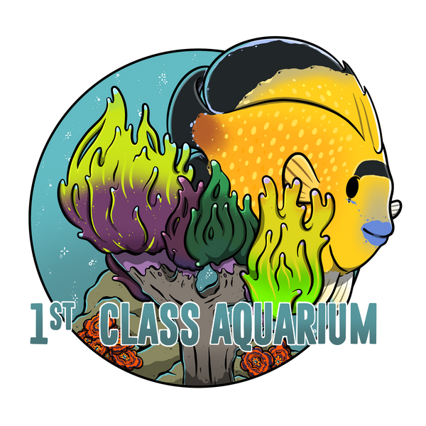 1st Class Aquarium